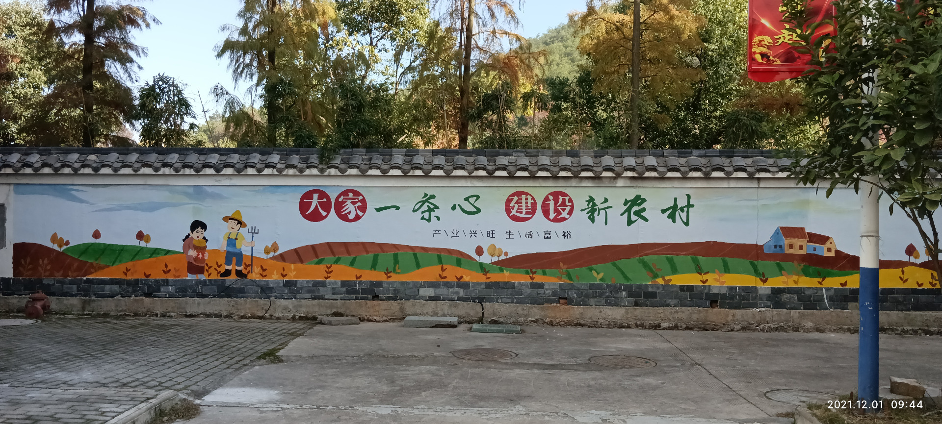 描述