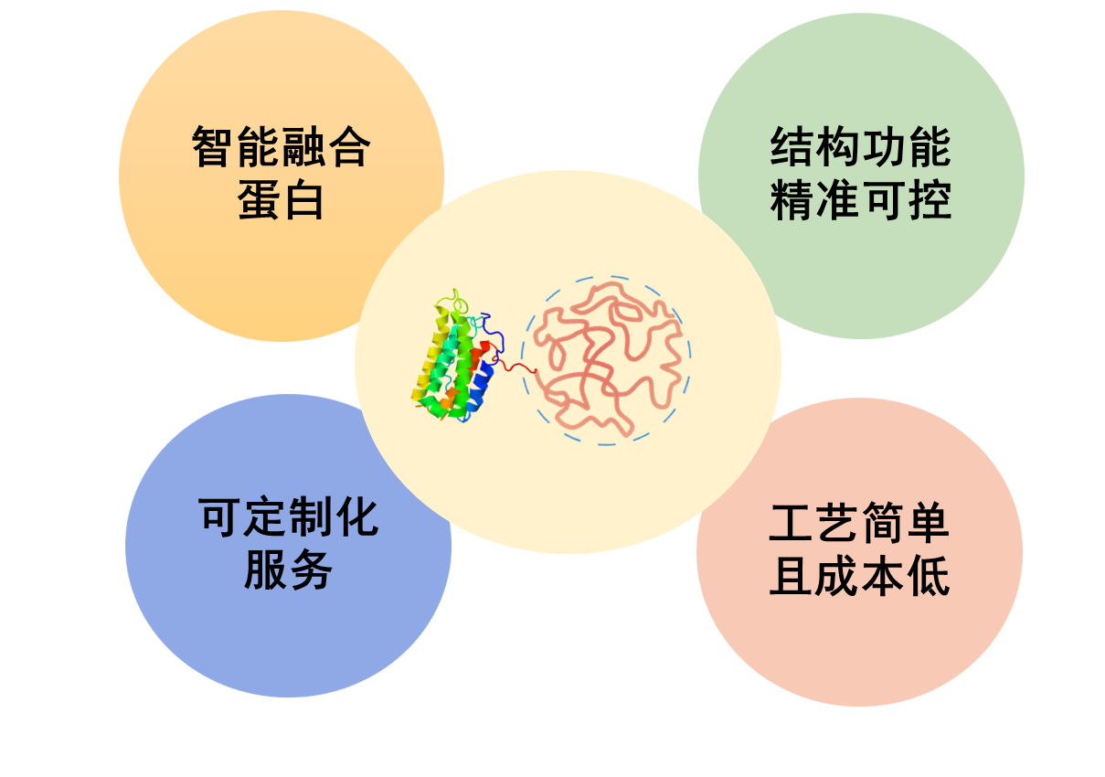描述