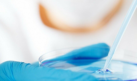 IVF