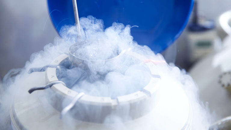 Cryopreservation of oocytes
