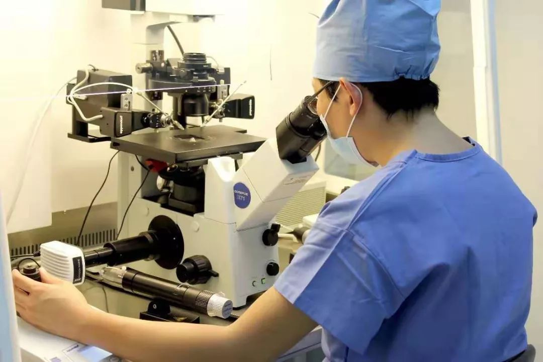IVF laboratory