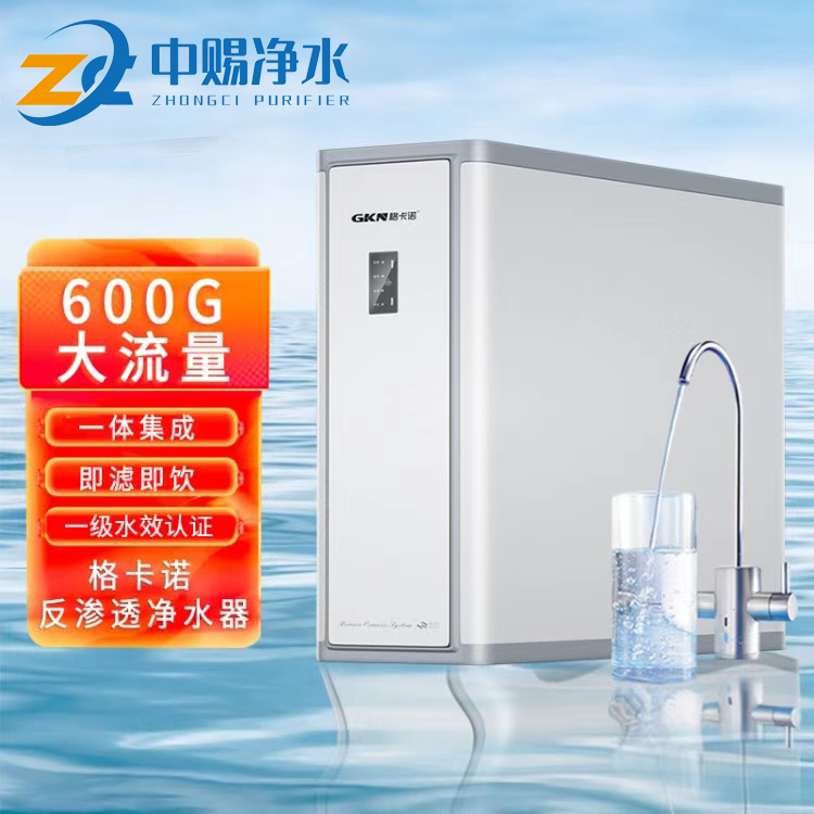 大流量无桶纯水机