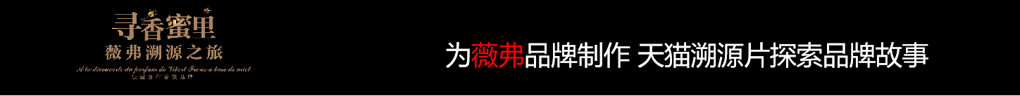 描述