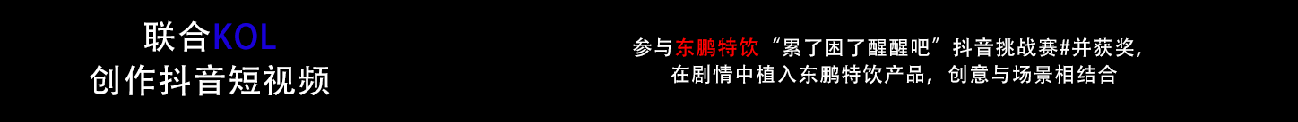 描述
