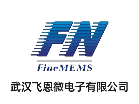 武漢飛恩微電子有限公司
