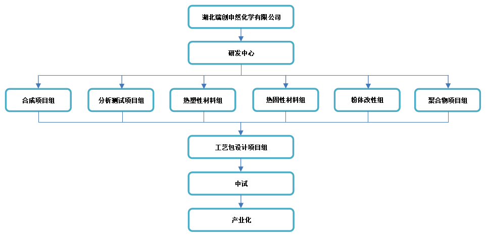描述