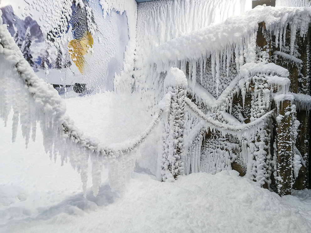 北京洋晟冰雪科技有限公司：引领雪屋与造雪机技术新革命
