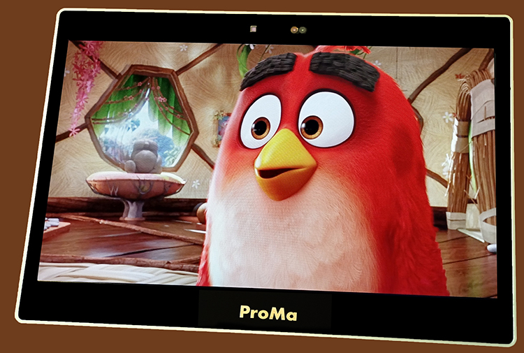 ProMa New Generation 3D Monitor 15.6NG@4K