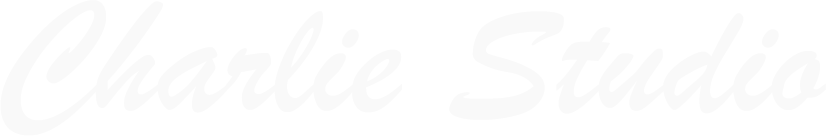 描述