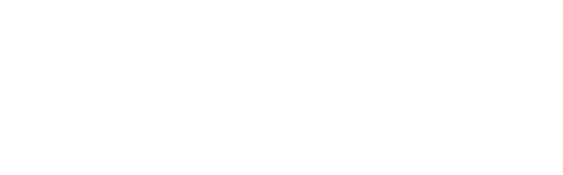 描述