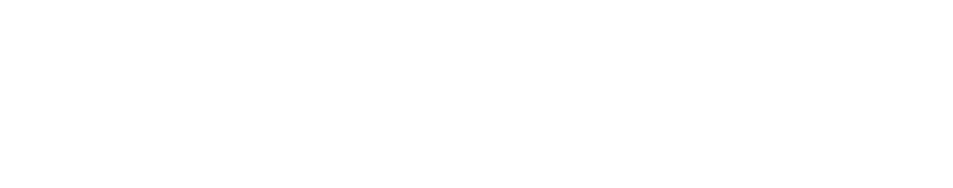 描述