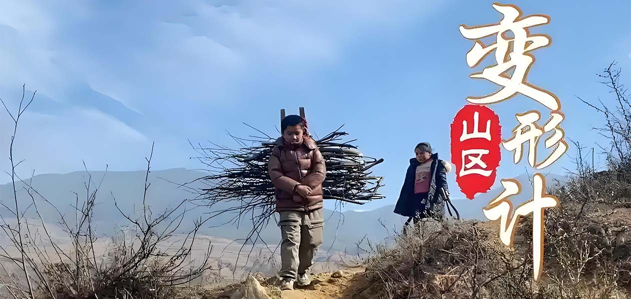 未标题-11
