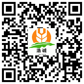 描述