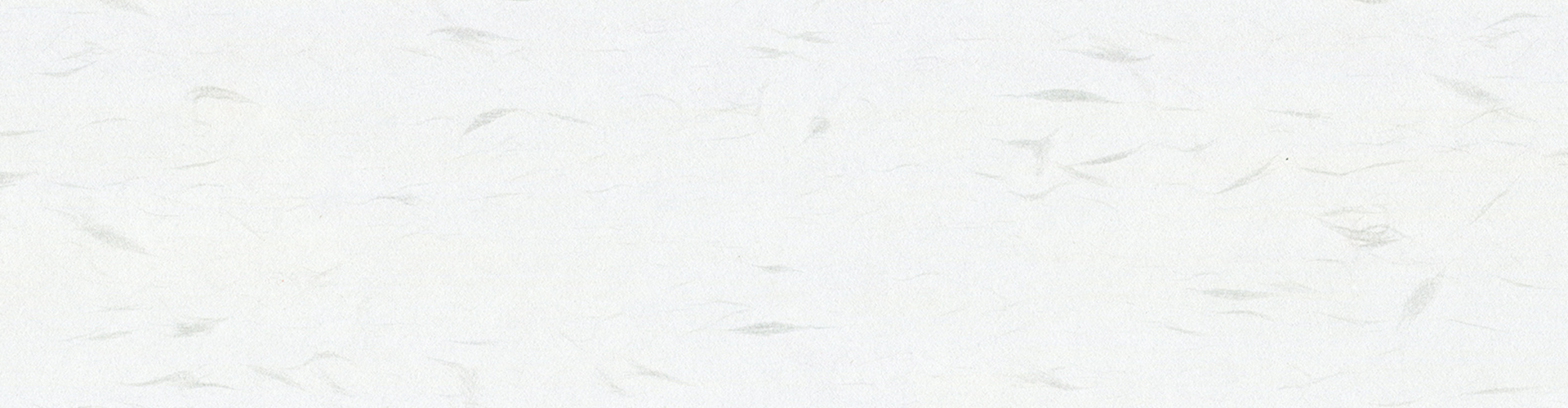 描述