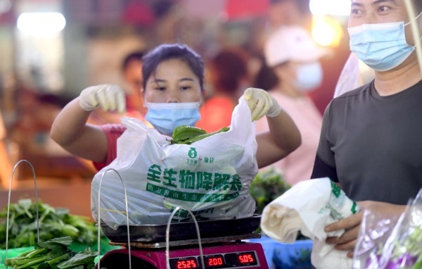 ban on non-biodegradable bags