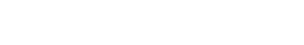 描述