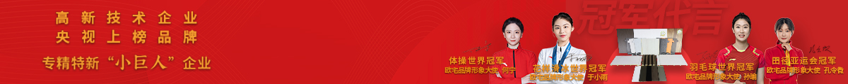 描述