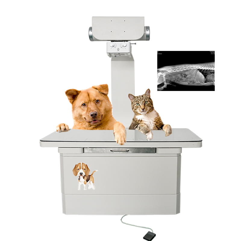 YH-500RPDR HF Radiography Vet X-ray Machine