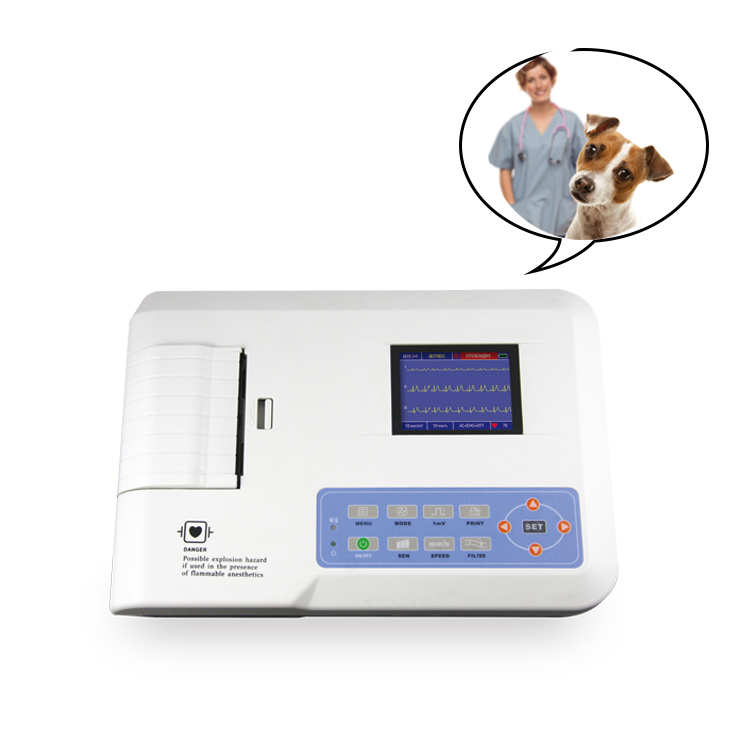 YH-300G VET Electrocardiograph