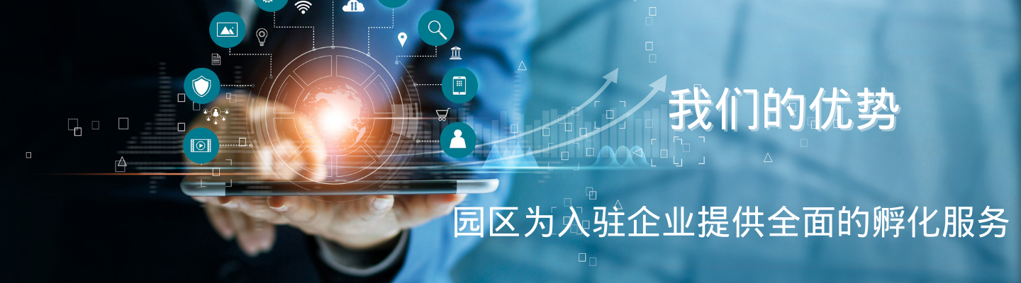 我们的优势 园区为入驻企业提供全面的孵化服务