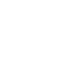 描述