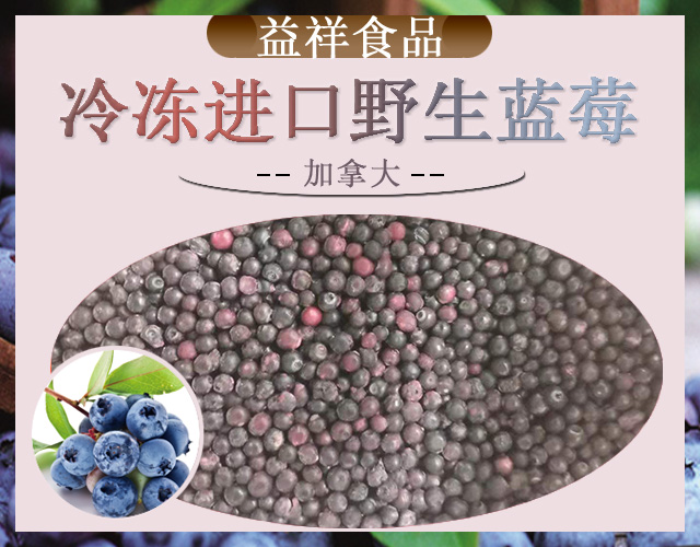 野生蓝莓