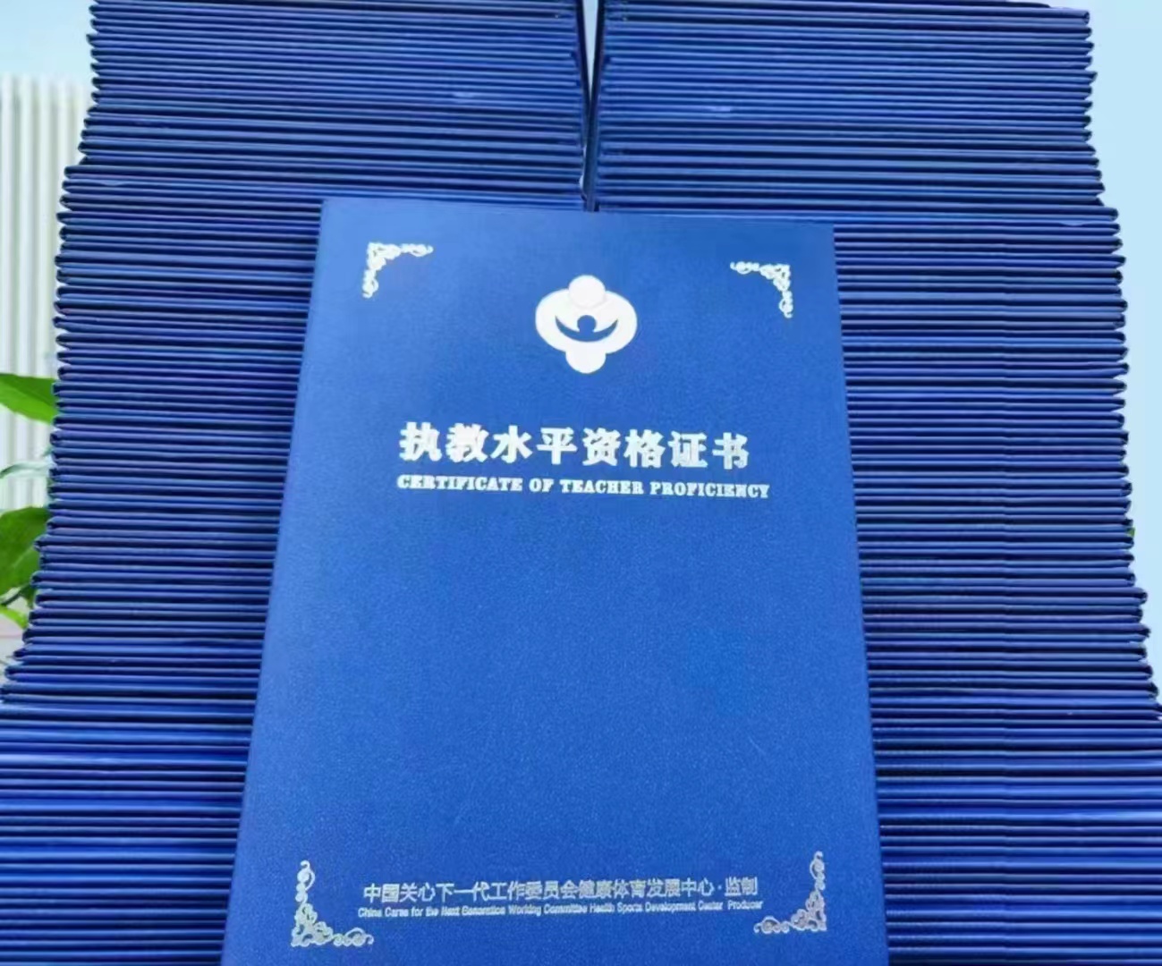 无人机执教水平认证