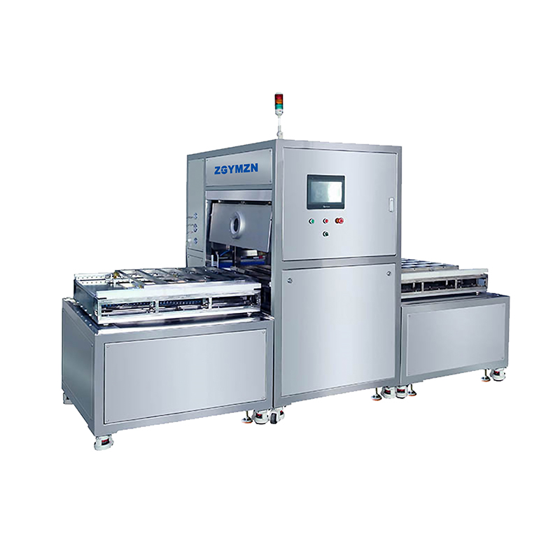 On-line vacuum plasma processing YMAPS-ZXV600