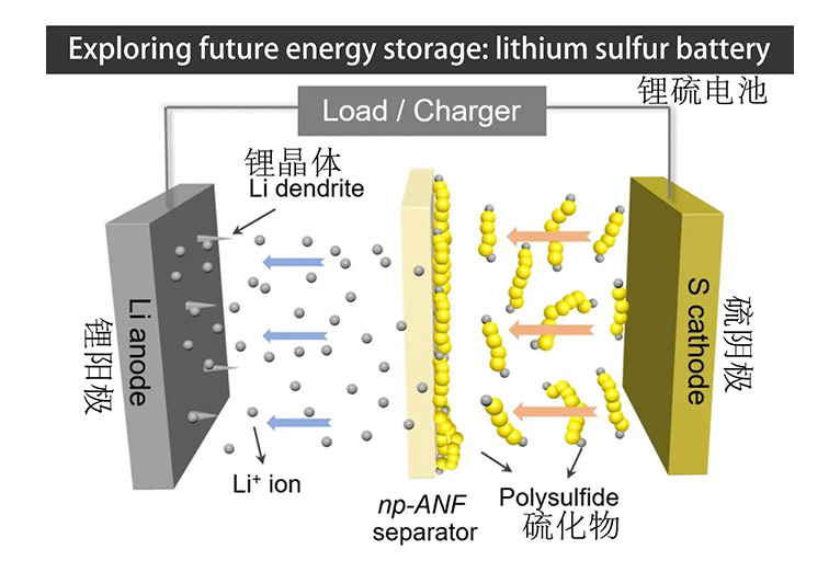 Lithium-sulfur battery coating