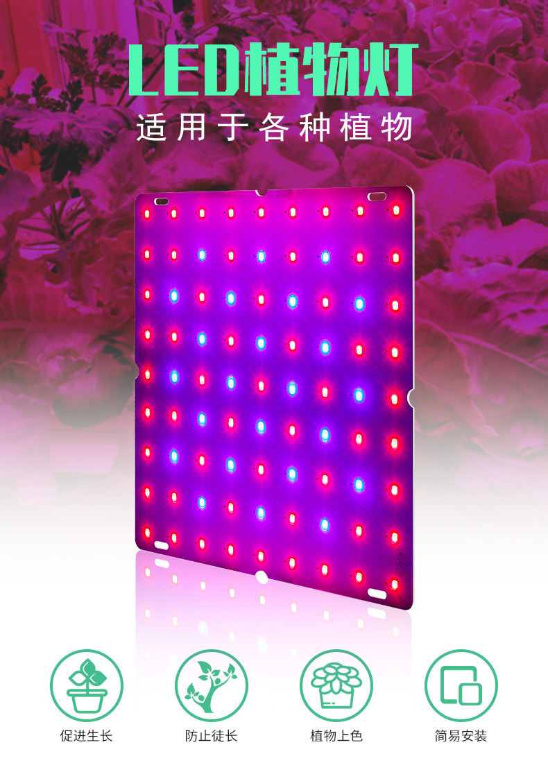 led量子板植物燈室內全光譜植物生長燈大棚育苗量子板植物燈
