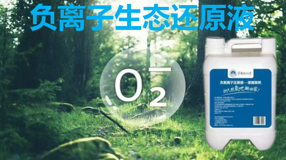益何康负氧离子还原液