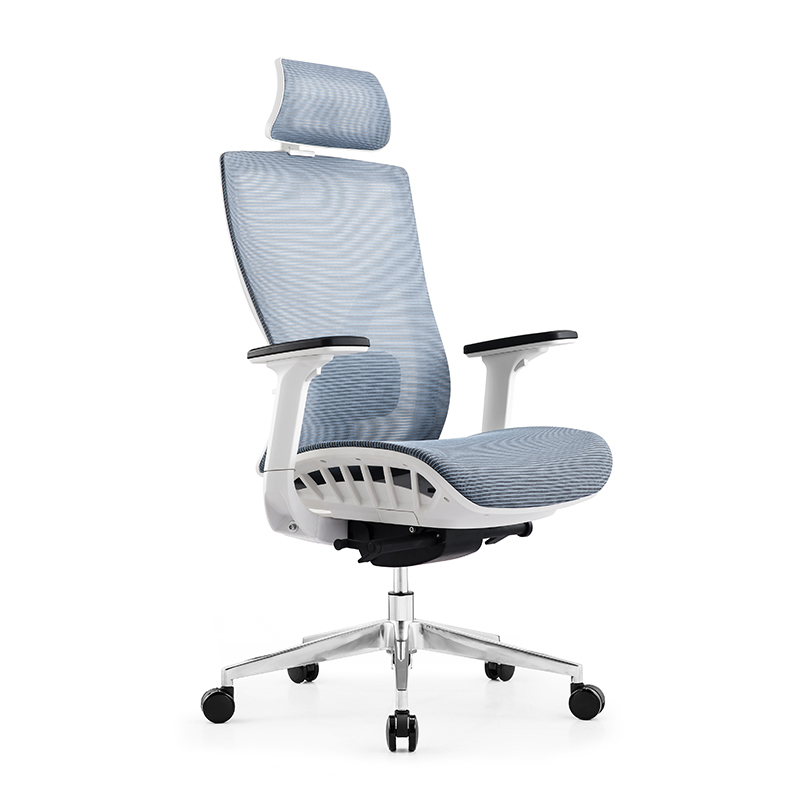 Ergonomic Chair A3091-1