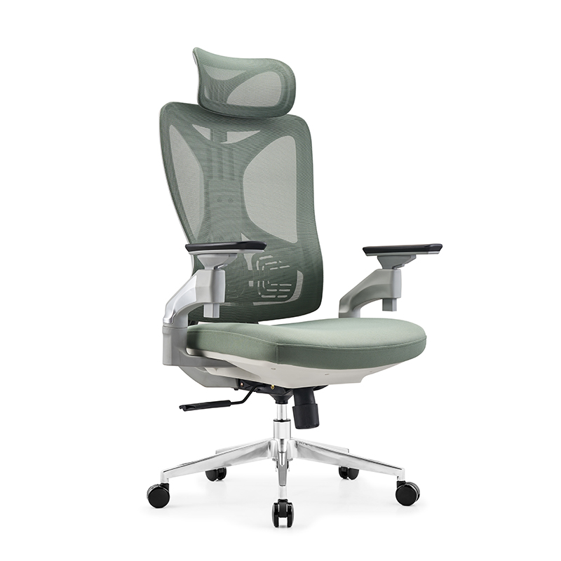 Ergonomic Chair SJA109