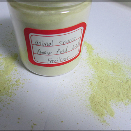 enzymatic hydrolysis