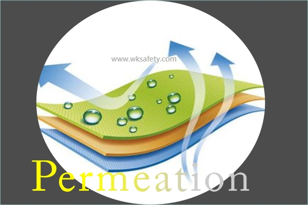 What is the difference between penetration and permeation?