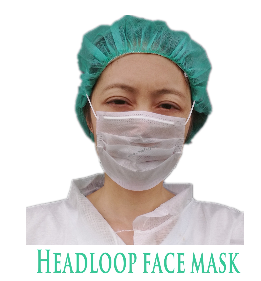 2-ply Headloop  mask (HLM8100)