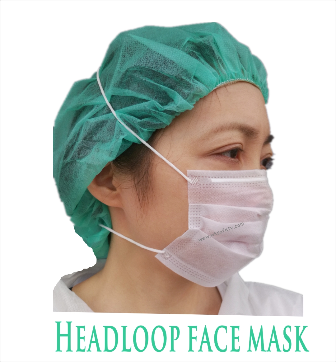 2-ply Headloop  mask (HLM8000)