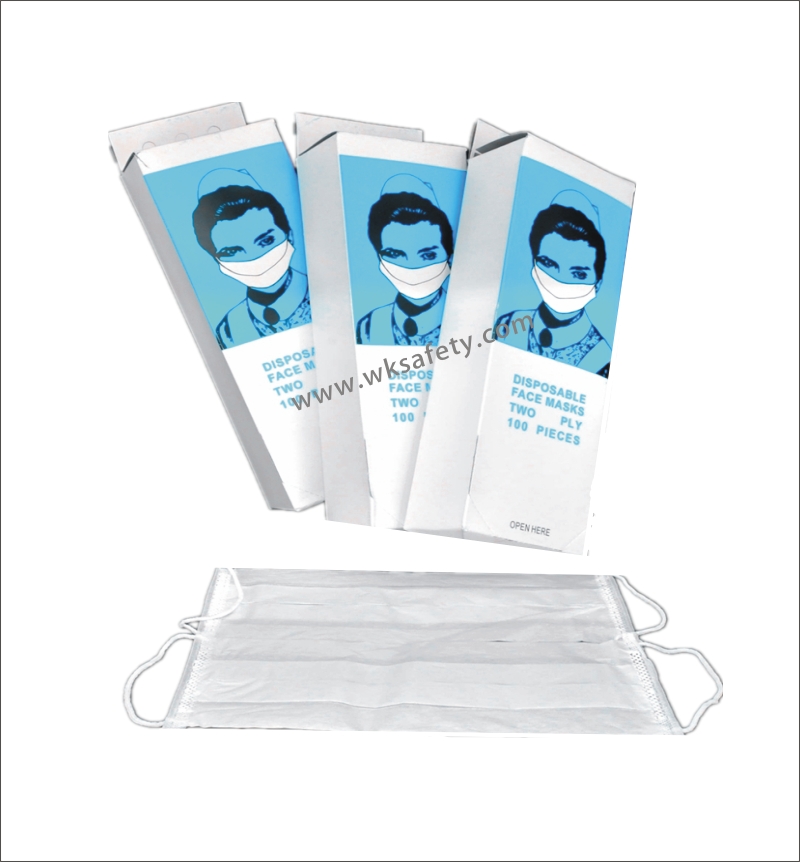 Paper face mask  (PM100)