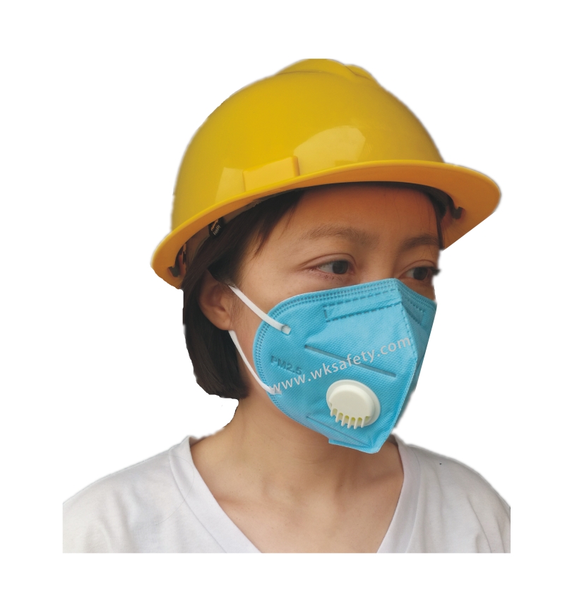 Dust mask (DM1100)