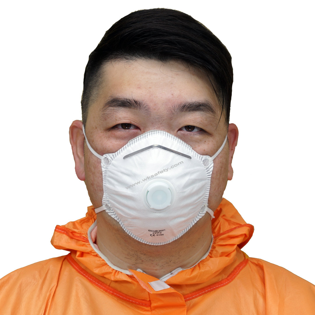 Dust respirator (DM3000)