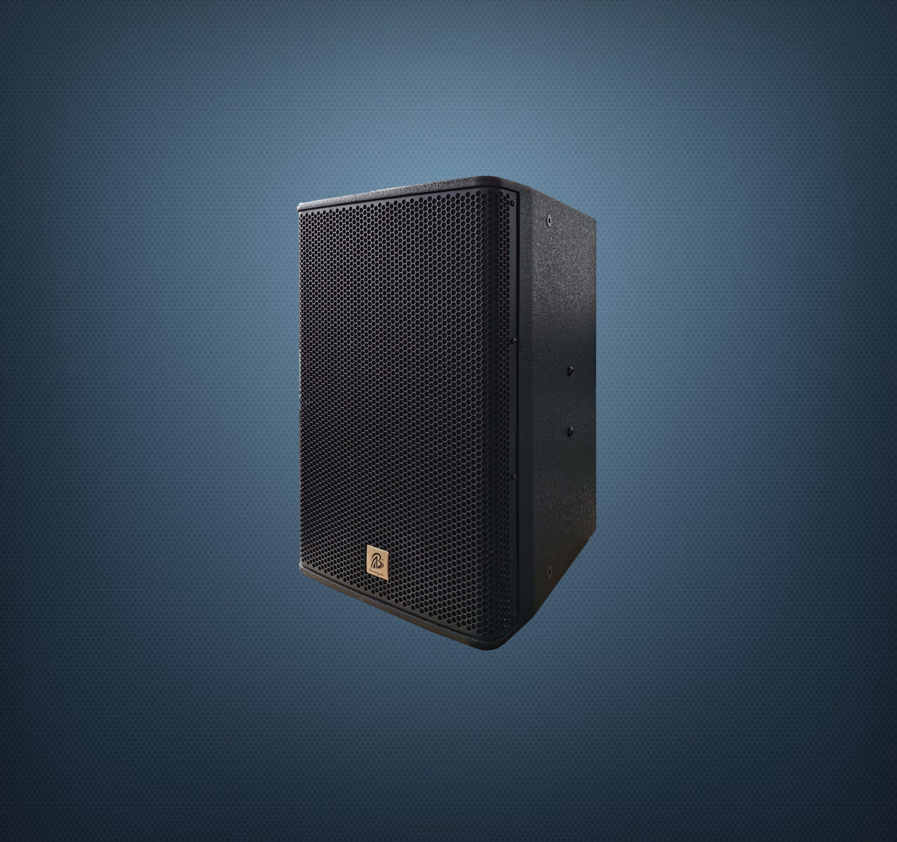 MD-10 娱乐系列扬声器