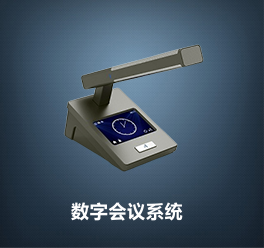 描述