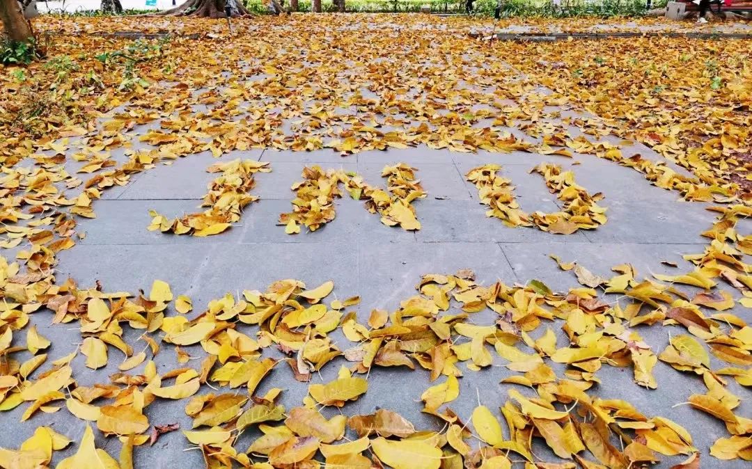 微信图片_20220617143827_20220617_164607534