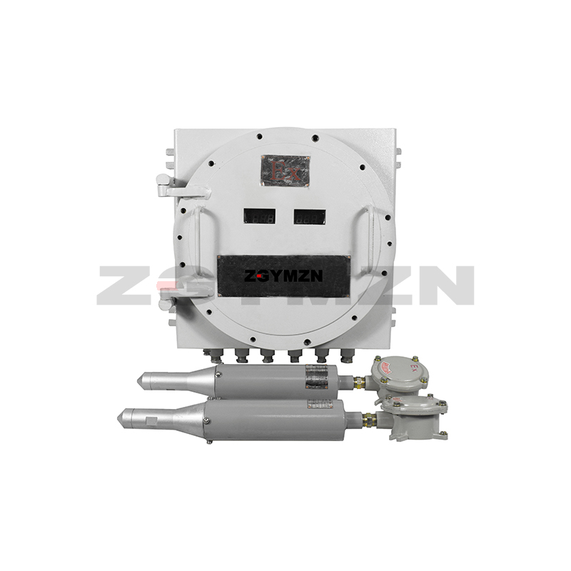 Explosion-proof type