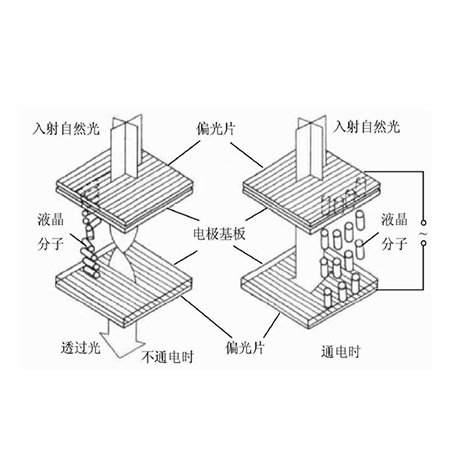 TN液晶显示屏的显示原理