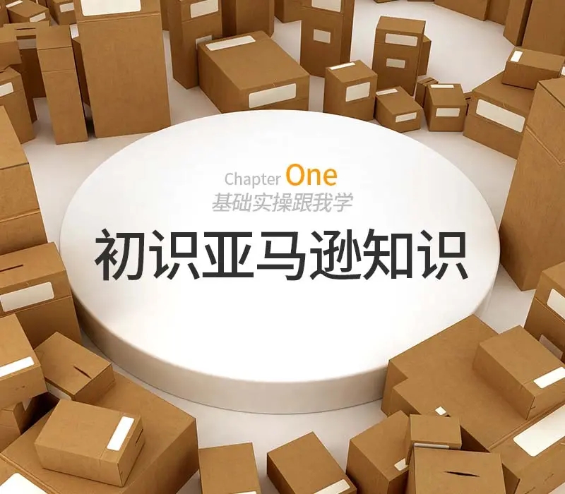 什么是亚马逊？