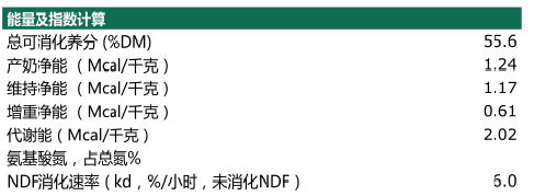 描述
