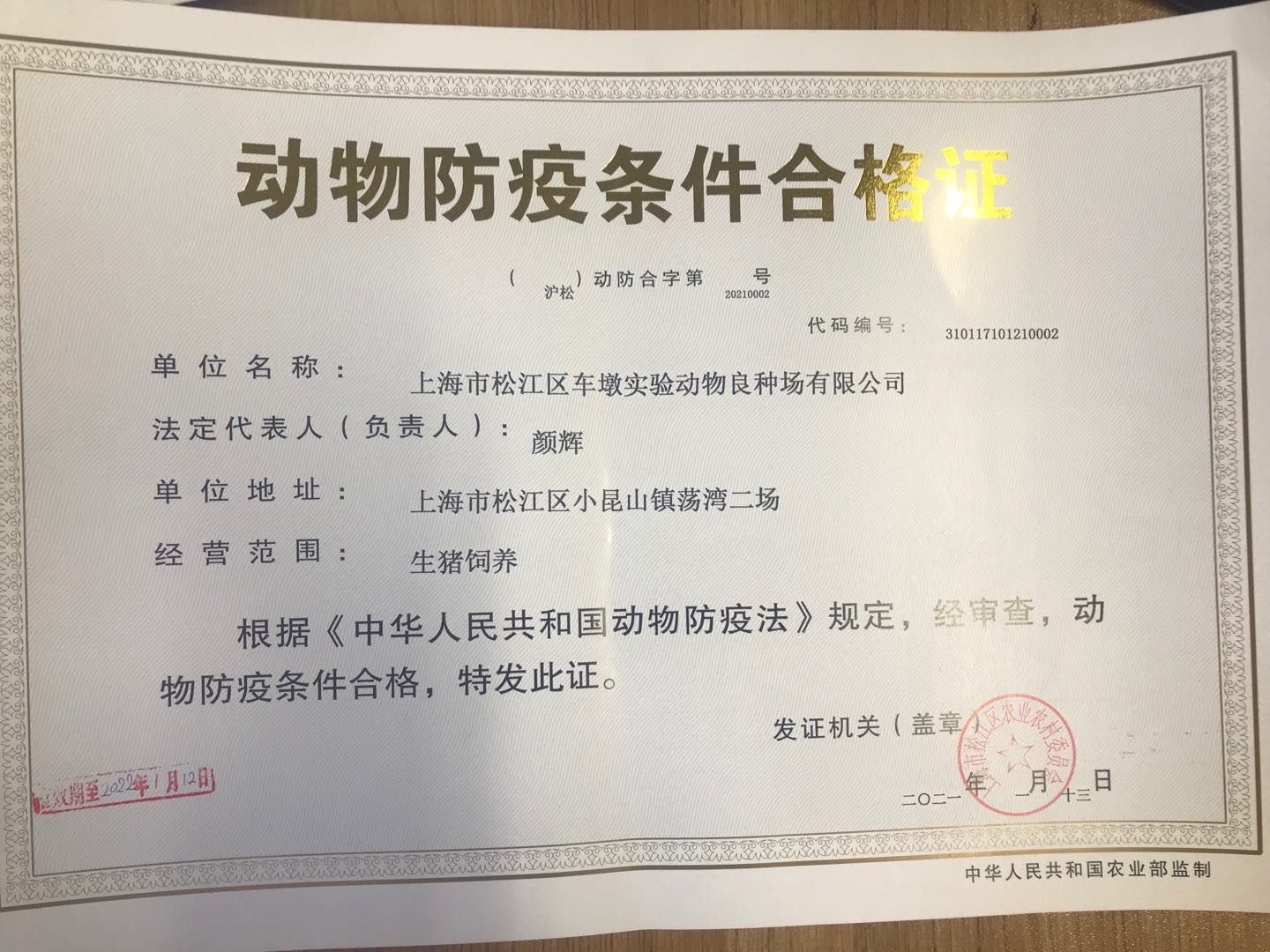 描述