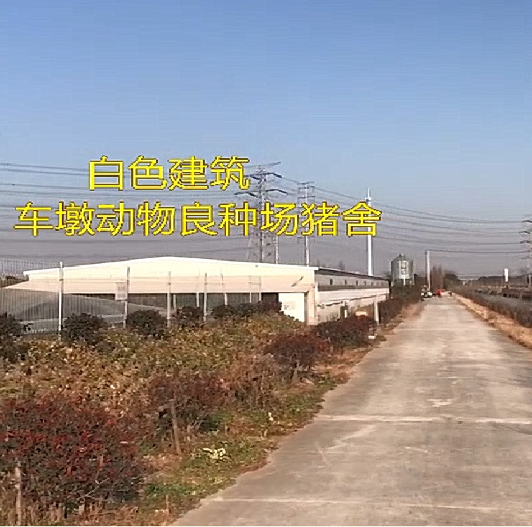 描述