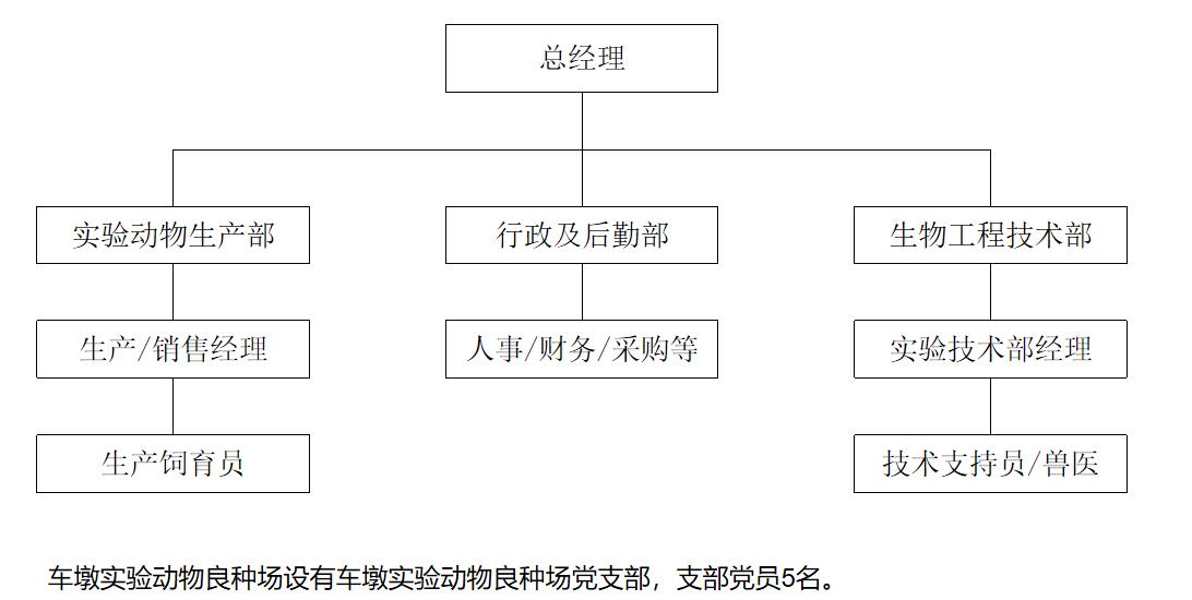 描述